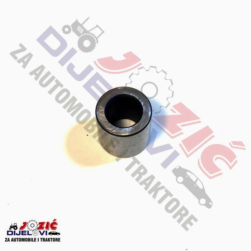 Daisy on the Ohoopee